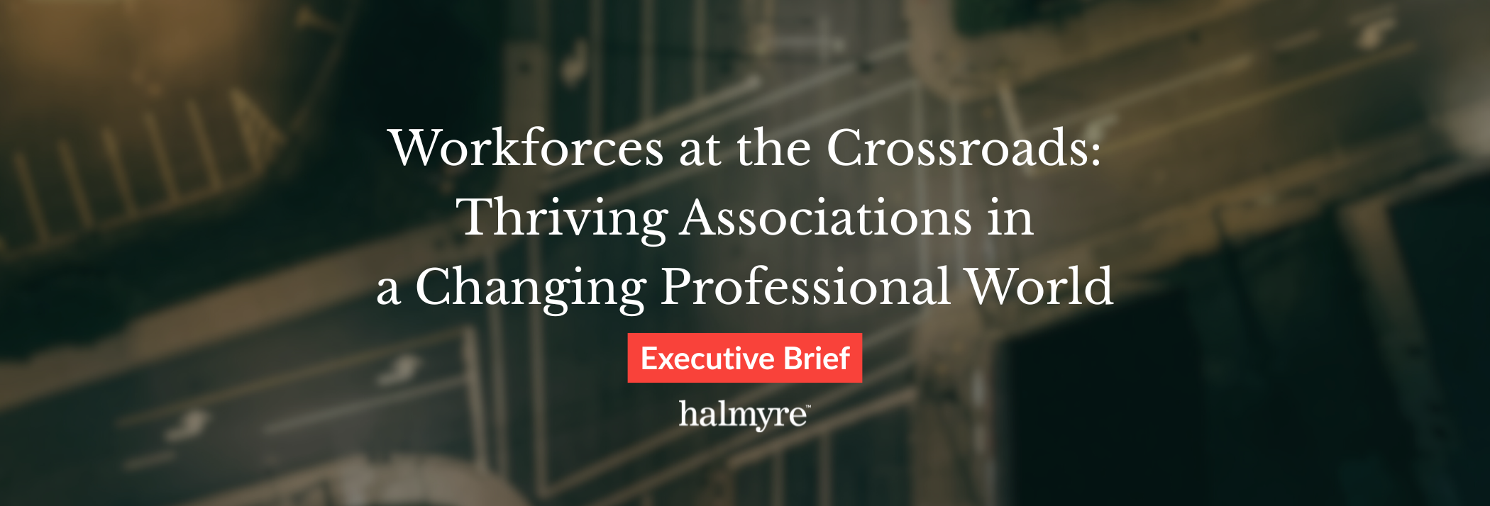 Workforces at the Crossroads: Thriving Associations in a Changing Professional World