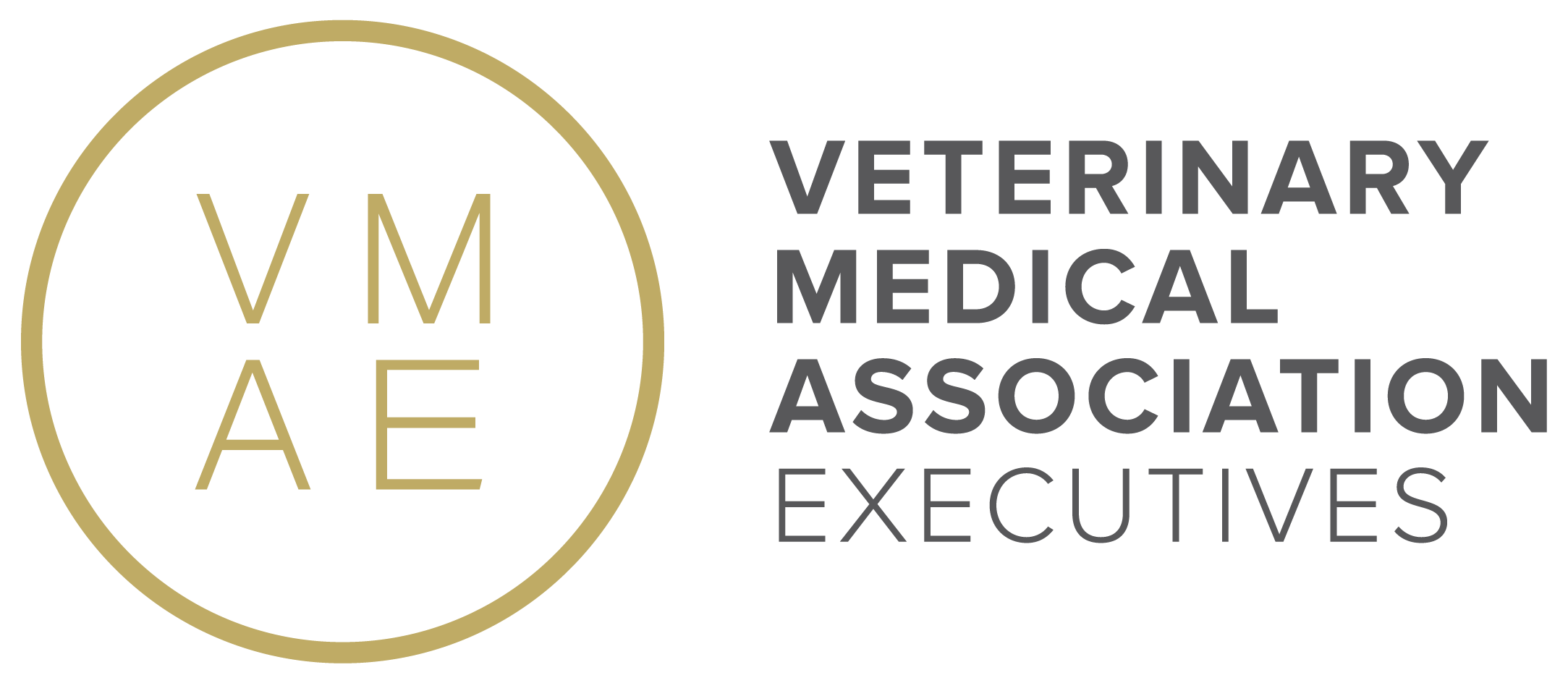 Digital Marketing Insights for Veterinary Medical Associations