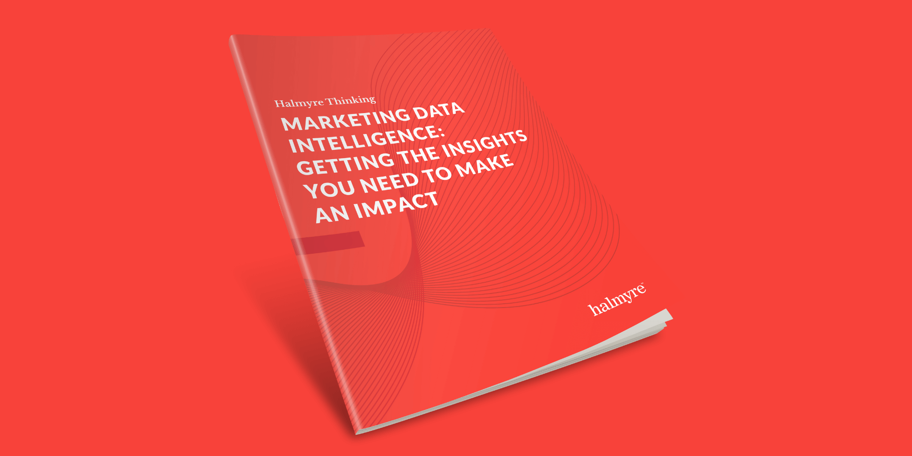 Getting the Data Insights You Need to Make an Impact | Halmyre