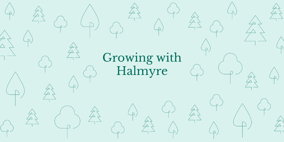 Halmyre Celebrates Anniversary with Growth | Halmyre