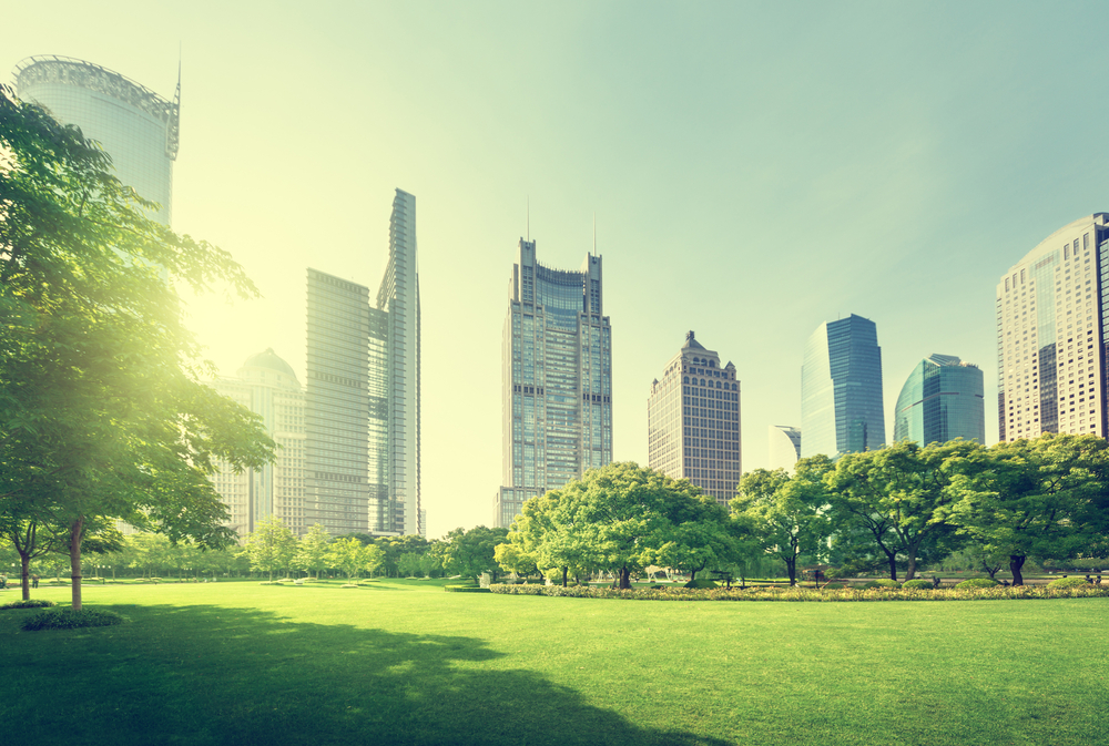 The Long Game: Solving Association Workforce Shortages with a 20-Year Vision and a 3-Step Roadmap